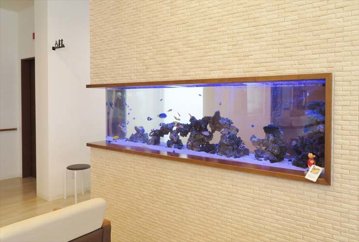 整形外科 待合室 大型海水魚水槽メンテナンス レイアウトリニューアル事例 水槽画像2