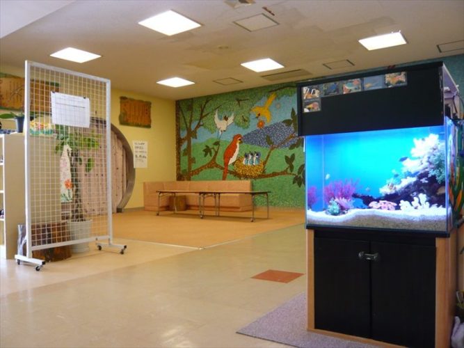 東京都杉並区 佼成育子園様 60cm海水魚水槽 設置事例のサムネイル画像