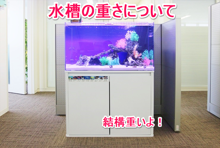 水槽の重さについての文字が入ったオフィス設置の水槽画像