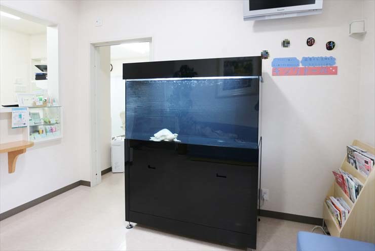 待合室に設置された黒い水槽台と大型の熱帯魚水槽
