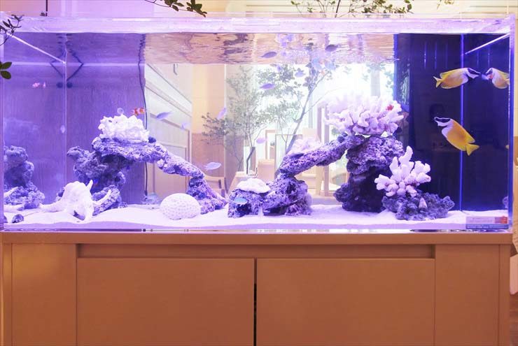サンゴ岩と海水魚が泳ぐ大型の海水魚水槽の全景