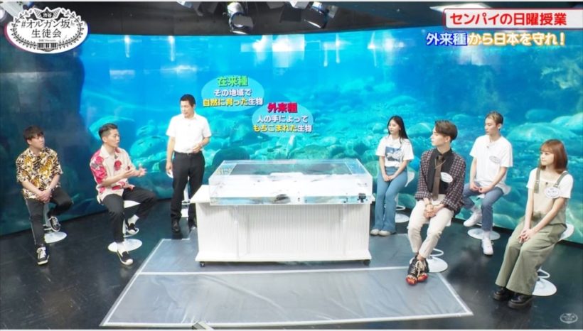 動画配信　撮影スタジオ　タッチプール　短期レンタル事例 水槽画像３