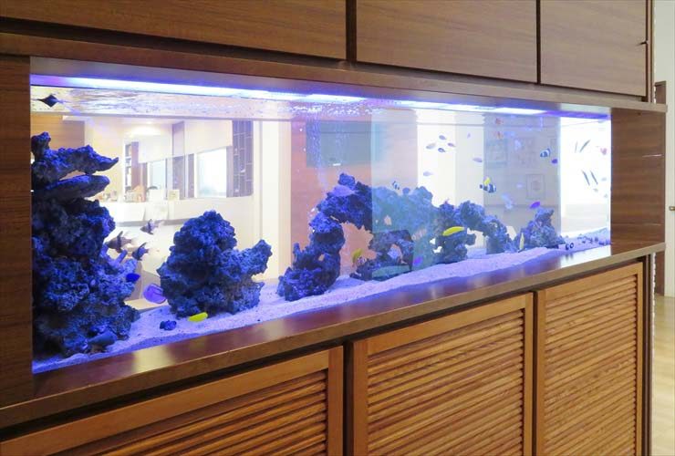 木製家具に埋め込まれた大型の海水魚水槽とライブロック