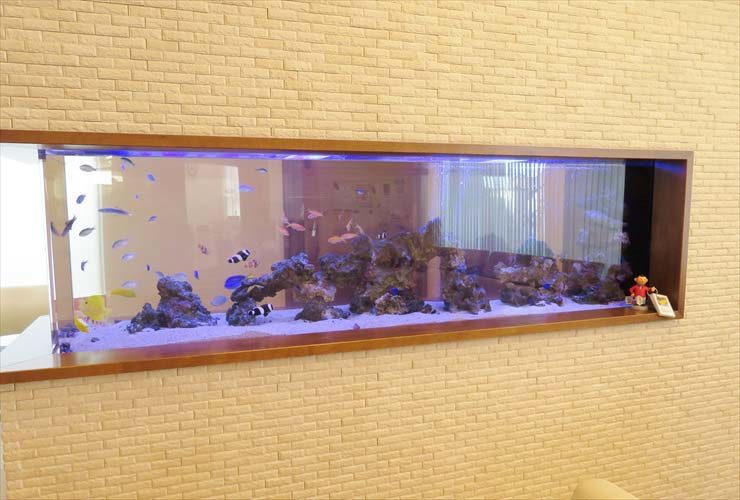 壁に埋め込まれた大型の海水魚水槽と泳ぐ熱帯魚たち