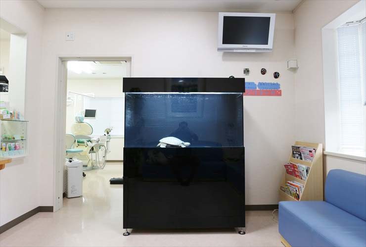 歯科医院の待合室に設置された黒い大型水槽と青いソファ