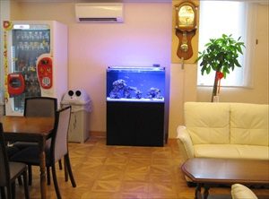 待合室のソファ横に設置された青い照明の海水魚水槽