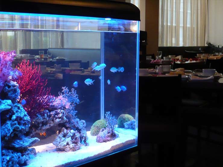 青い照明の海水魚水槽と店内のテーブル席