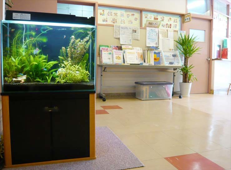 施設内に設置された水草が茂る熱帯魚水槽と掲示板の風景