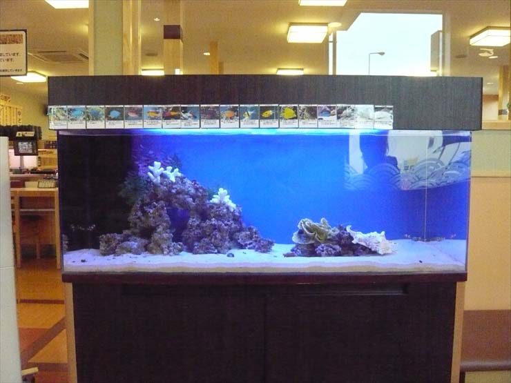 飲食店に設置された海水魚水槽と魚の紹介パネル