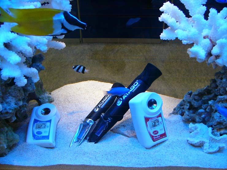 海水魚水槽の底砂に置かれた屈折比重計とデジタル測定器