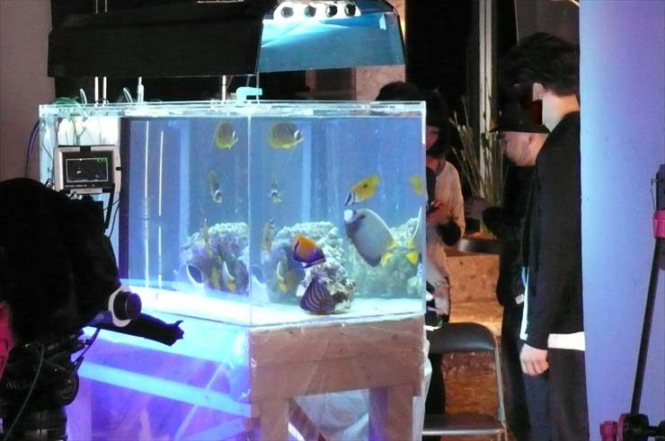 撮影機材に囲まれた海水魚水槽とそれを見守るスタッフたち
