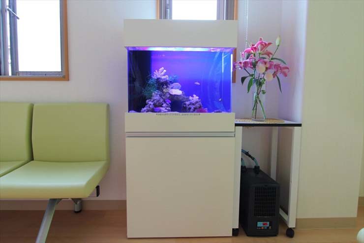 待合室に設置された白い水槽台と青く光る海水魚水槽