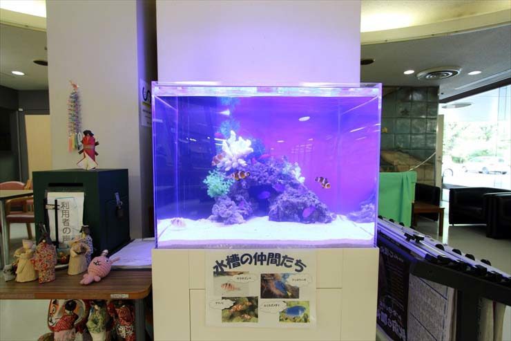 水槽の仲間たちの紹介掲示がある海水魚水槽