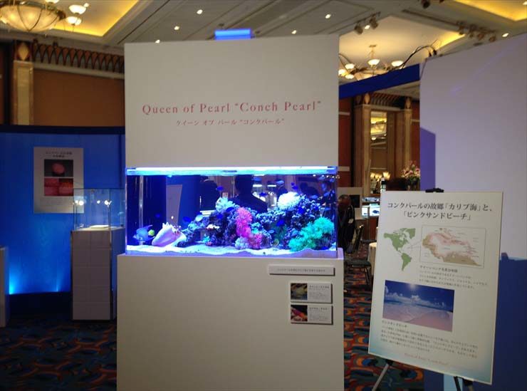 コンクパール展示会場の海水魚水槽と解説パネル