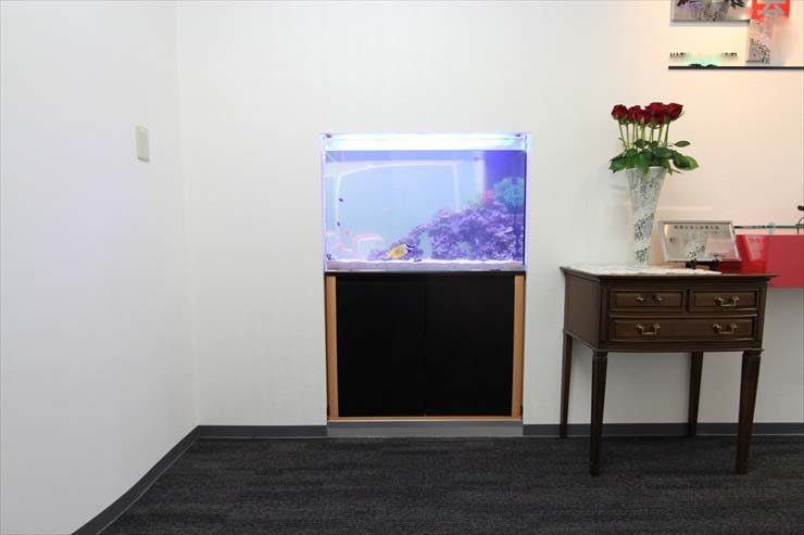 壁に埋め込まれた海水魚水槽と隣に置かれた花瓶と棚