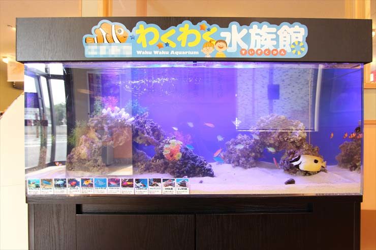わくわく水族館の看板がある海水魚水槽の見出し画像