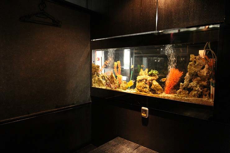 暗い室内の壁面に埋め込まれた大型の海水魚水槽