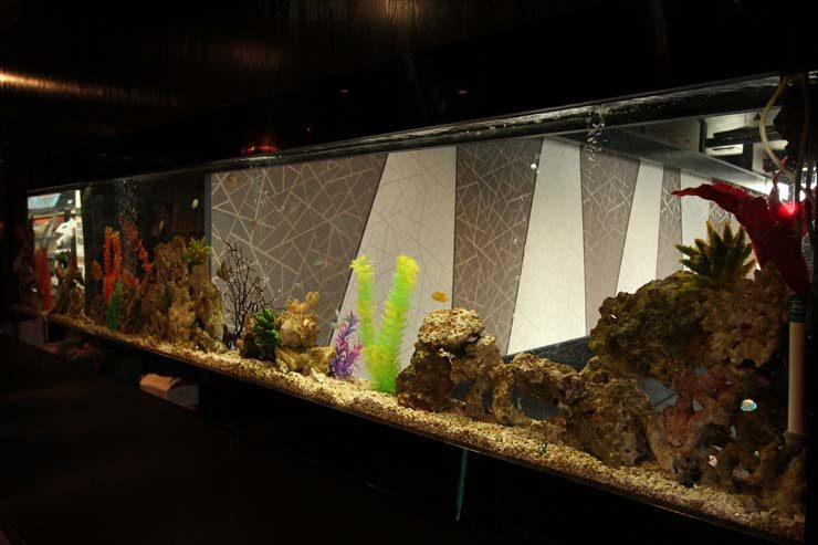 岩組と人工水草を配置した横長の大型アクアリウム水槽