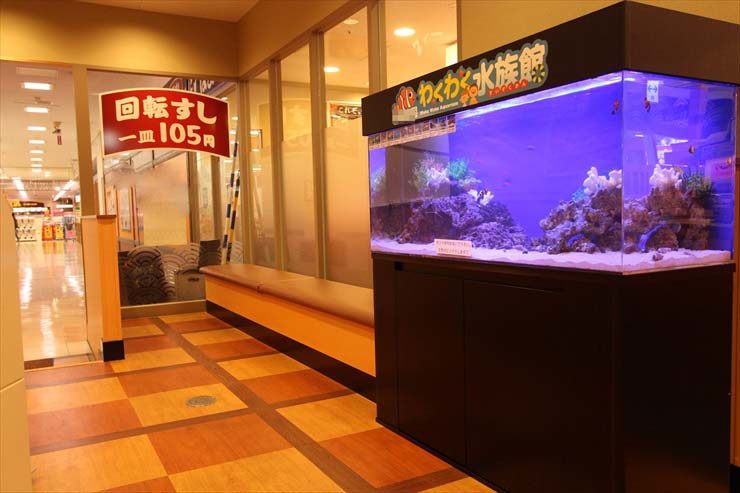 回転すし店入口に設置されたわくわく水族館の海水魚水槽
