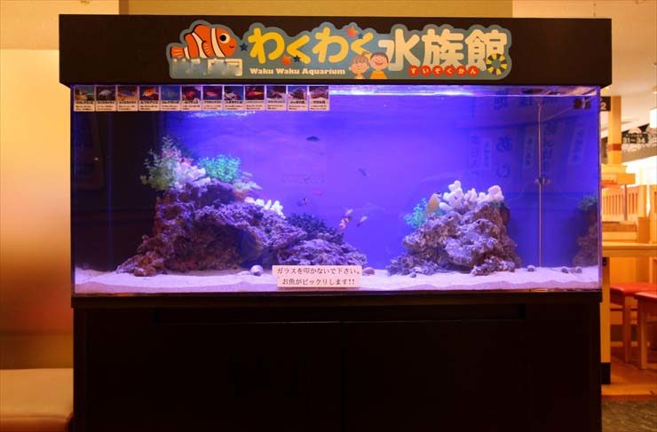 わくわく水族館の看板がある青い照明の海水魚水槽