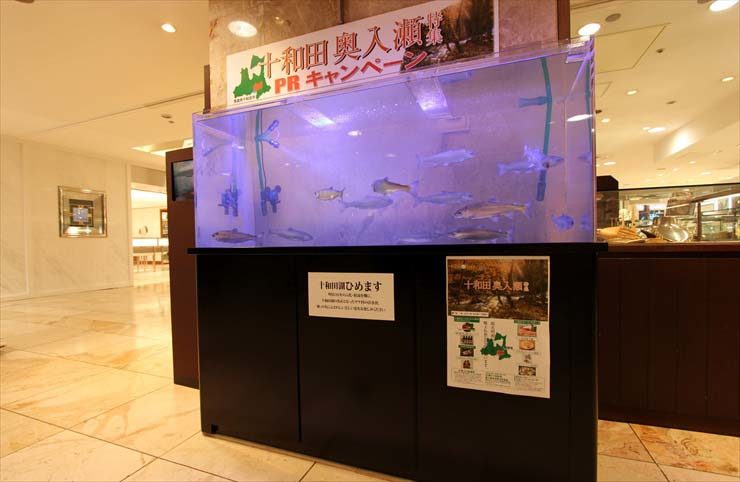 十和田奥入瀬PRキャンペーンの大型水槽と魚の展示