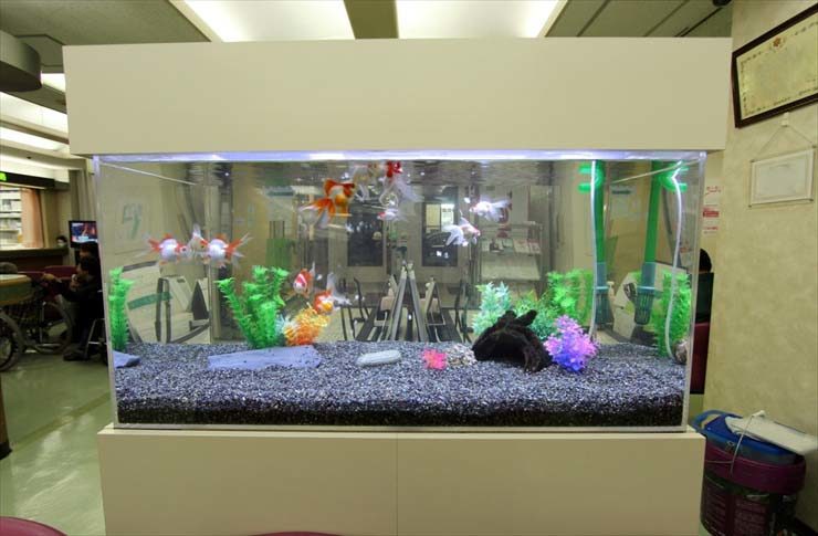 金魚が泳ぐ人工水草と黒い砂利の大型水槽