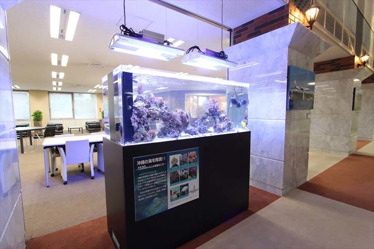 オフィスに設置された大型海水魚水槽と解説パネル