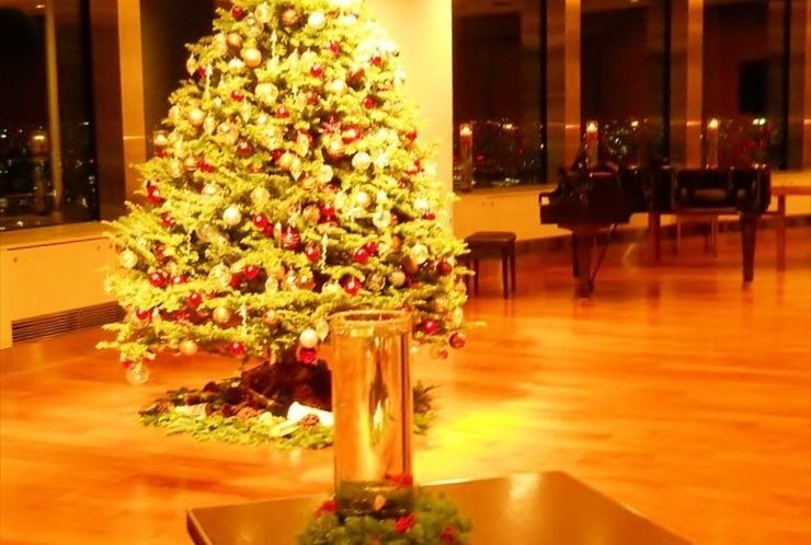 クリスマスツリーと円柱水槽がある夜景の見える室内