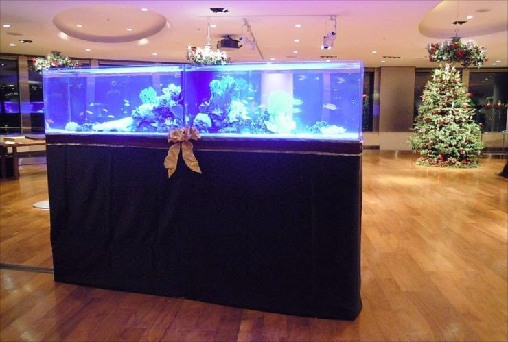 クリスマスツリーのある広間に設置された大型海水魚水槽