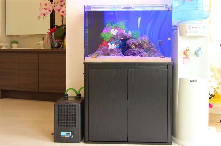 ウォーターサーバー横に設置された海水魚水槽と水槽用クーラー