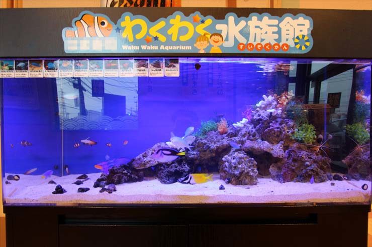 わくわく水族館の看板がある海水魚水槽の見出し画像