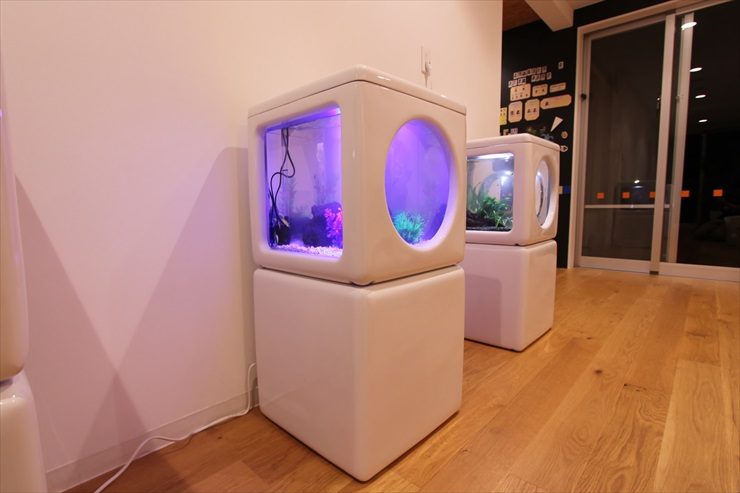 青い照明が灯る白いキューブ型のデザイン水槽