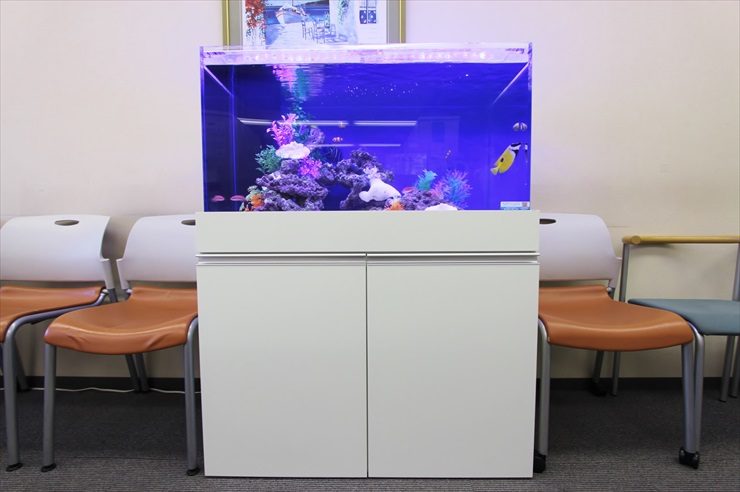 待合室に設置された白い水槽台と青い照明の海水魚水槽