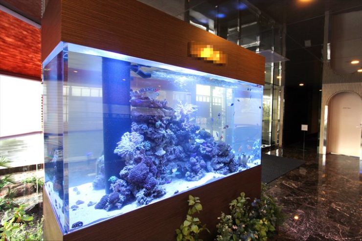 ロビーに設置された大型の海水魚水槽とライブロック