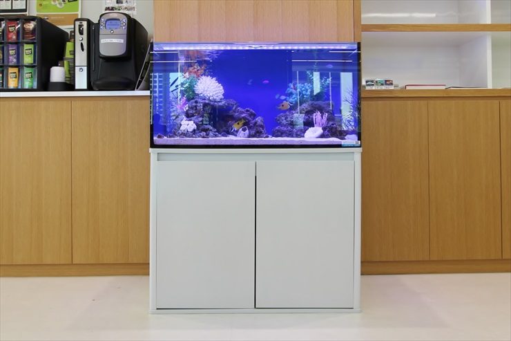 白い水槽台に設置された青い照明の海水魚水槽