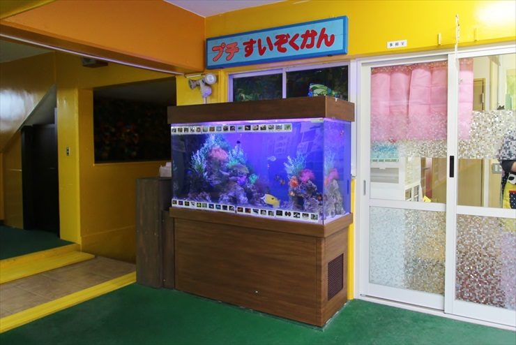 プチすいぞくかんの看板がある室内の大型海水魚水槽