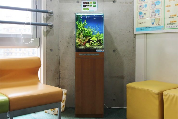 待合室に設置された水草が茂る小型水槽と木製水槽台