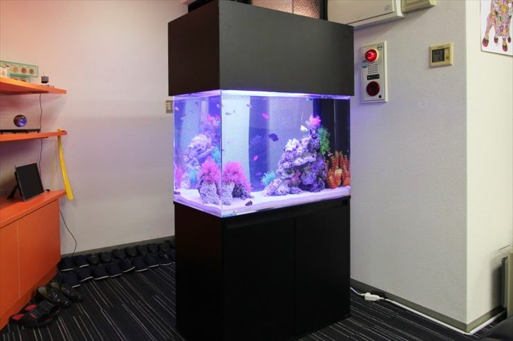黒い水槽台とキャノピーを備えた海水魚水槽の設置例