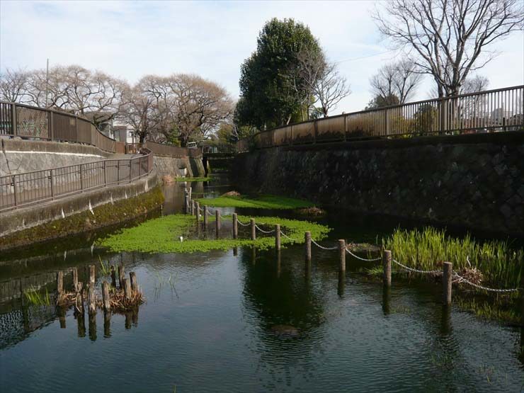 石垣に囲まれた川に浮かぶ水草と杭の列