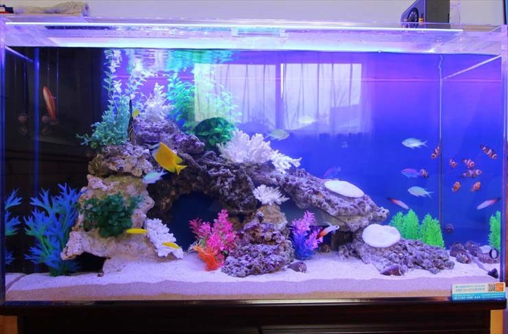 海水魚と人工サンゴが泳ぐ青い照明の大型水槽