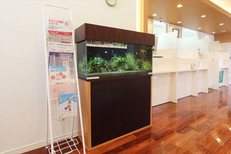 待合室に設置された水草と小型魚の大型水槽