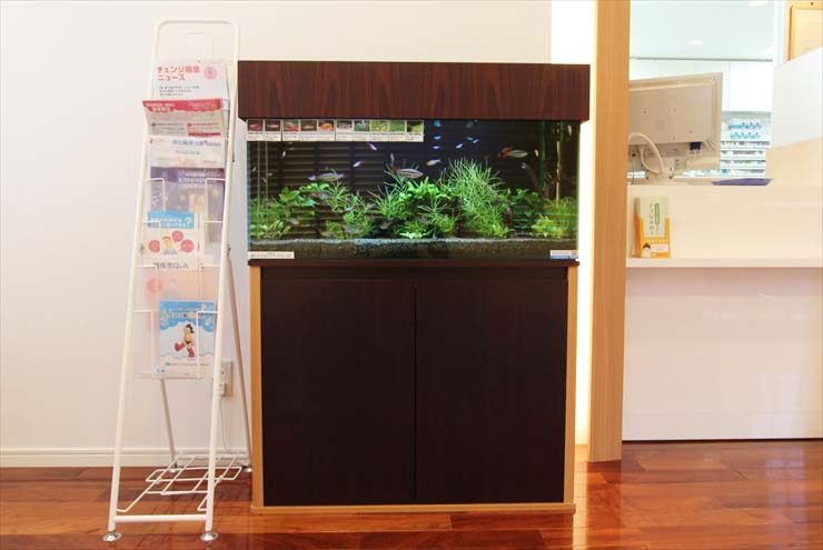 待合室に設置された水草と小型カラシンの熱帯魚水槽