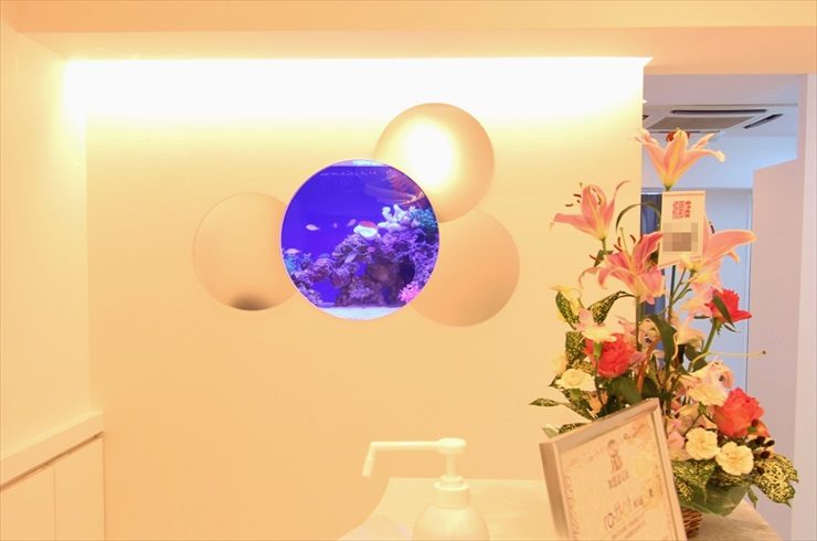 壁に埋め込まれた円形の海水魚水槽と受付の花飾り