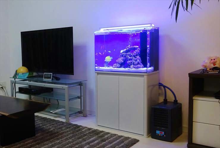 テレビの横に設置された海水魚水槽と水槽用クーラー
