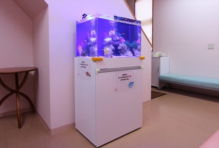 青い照明の海水魚水槽と白い専用台の設置風景