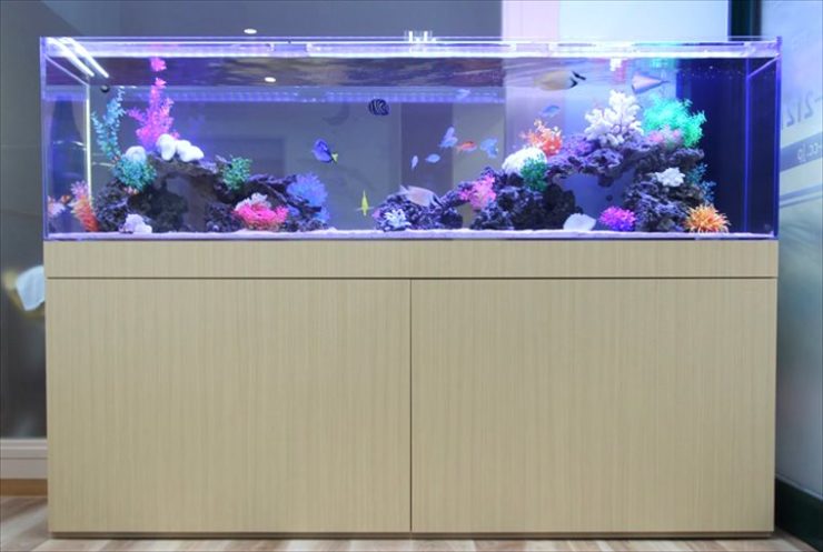 木目調水槽台に設置された大型の海水魚水槽