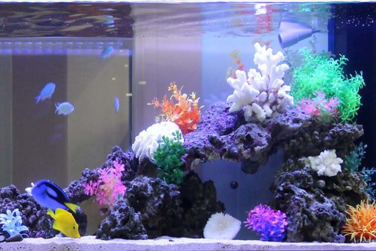 サンゴ岩とカラフルな人工水草を配置した海水魚水槽