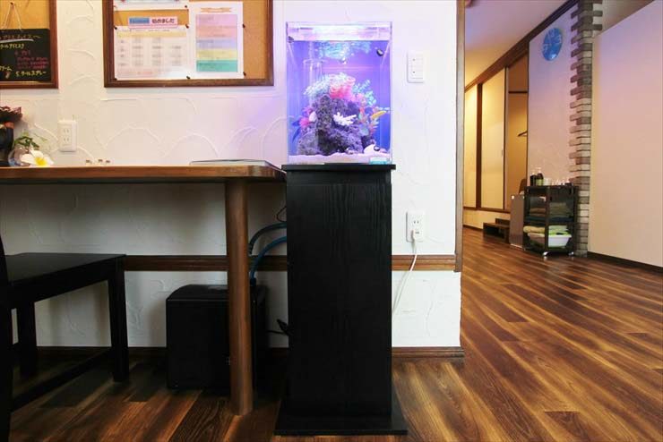 室内のデスク横に置かれた小型海水魚水槽と黒い水槽台