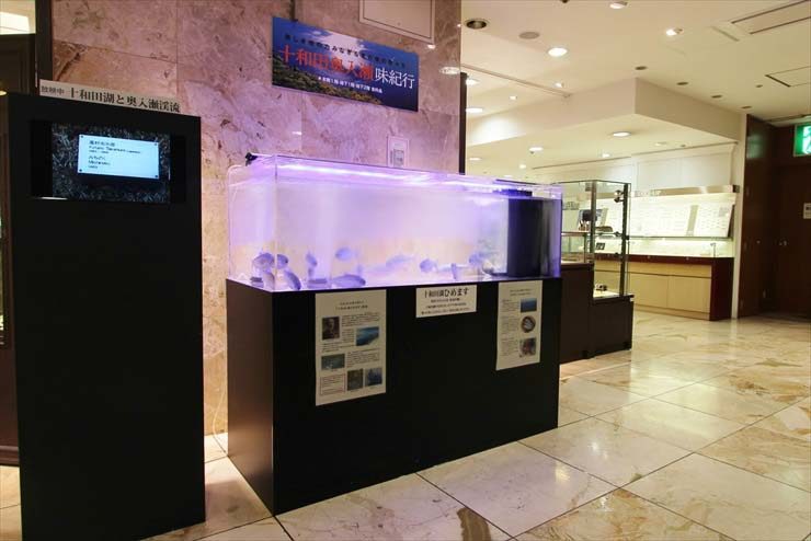 十和田湖・奥入瀬味紀行の看板とクラゲ水槽の展示風景