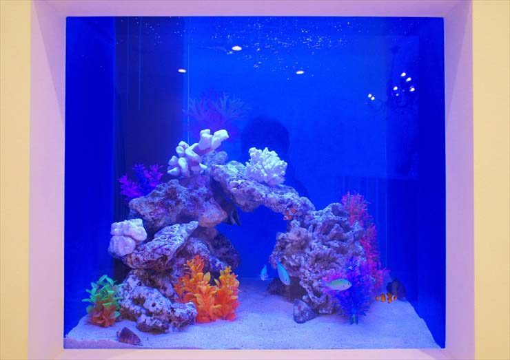 青い照明の海水魚水槽とサンゴ岩のレイアウト